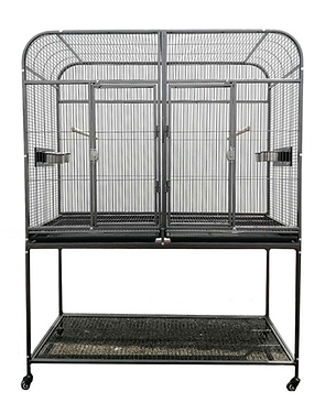 Setting Up A Bird Cage | Maranatha Aviaries | Brisbane Bird Breeder